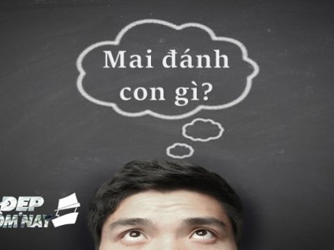 mai đánh con gì?
