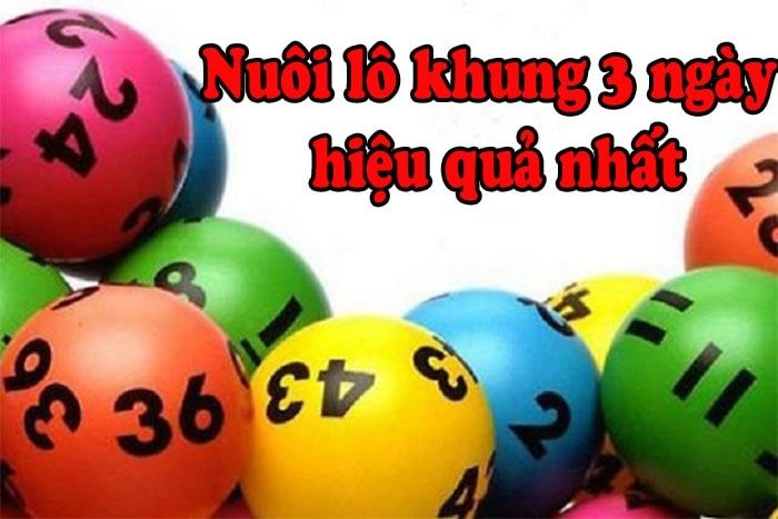 Cách bắt và vào tiền nuôi