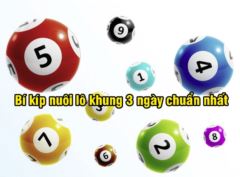 Cách bắt và vào tiền nuôi